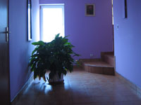 Zajzd Kalwados